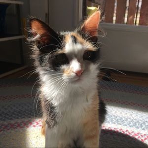 Meet your Posher, Alana